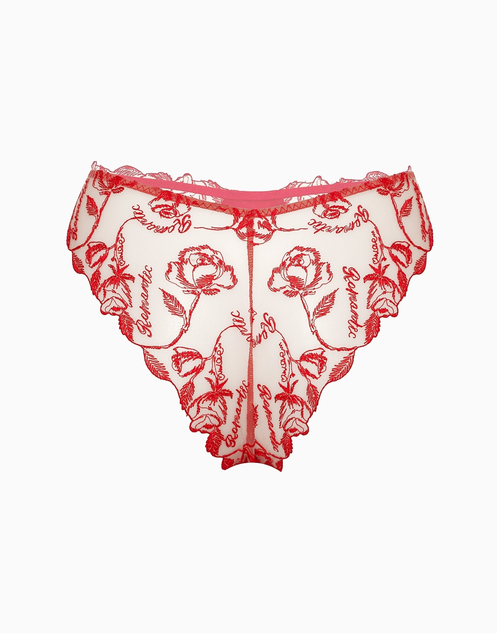 Brazilian briefs CD689
